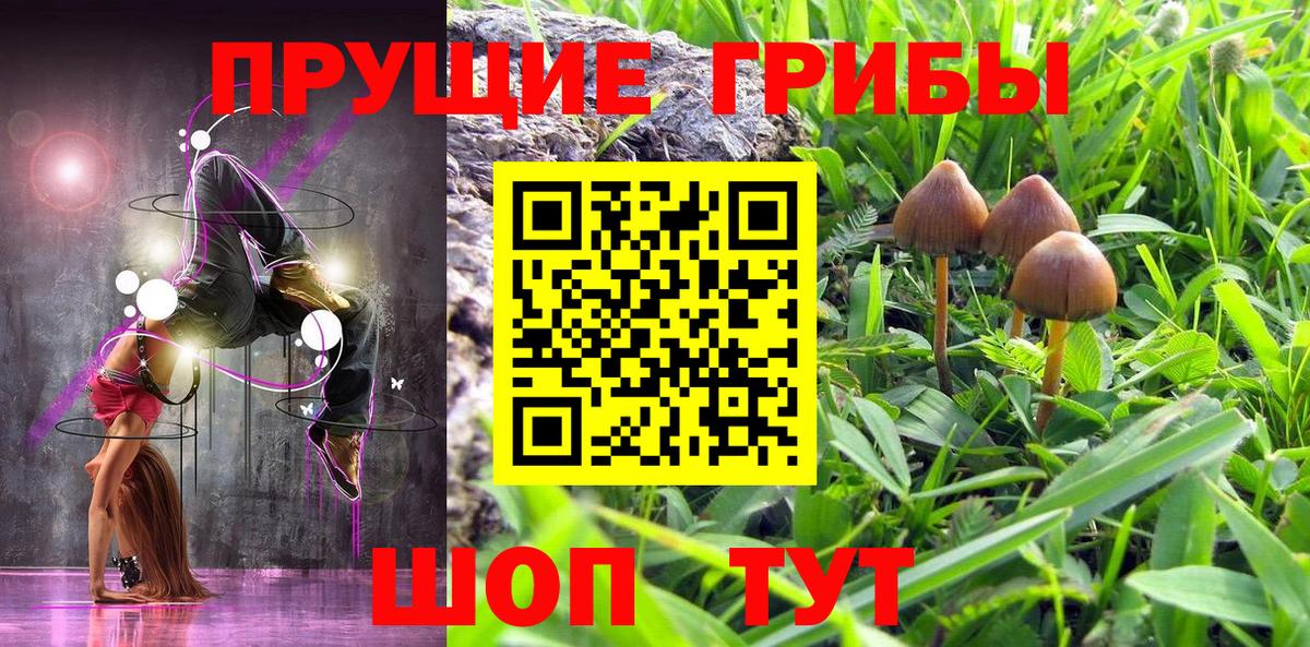 Псилоцибиновые грибы прущие грибы Туймазы