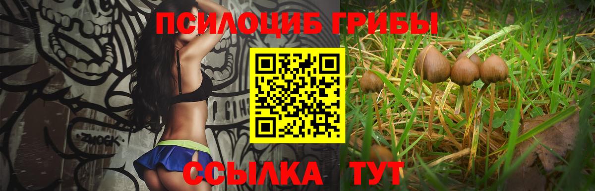 Туймазы  Псилоцибиновые грибы прущие грибы  Вход с VPN 